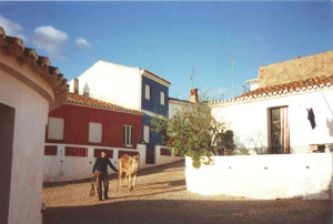 The villa