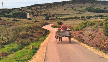 Road to the village