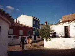 The villa
